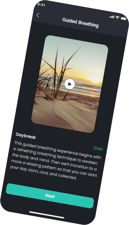mobile version cover image 2